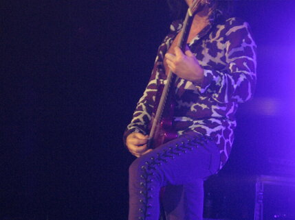 billy idol idolize yourself tour 2008 (104).jpeg