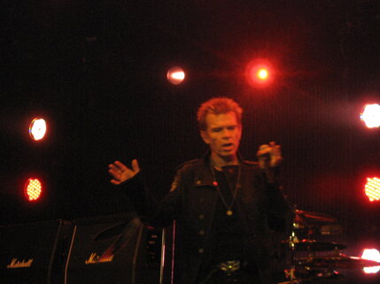 billy idol idolize yourself tour 2008 (84).jpeg