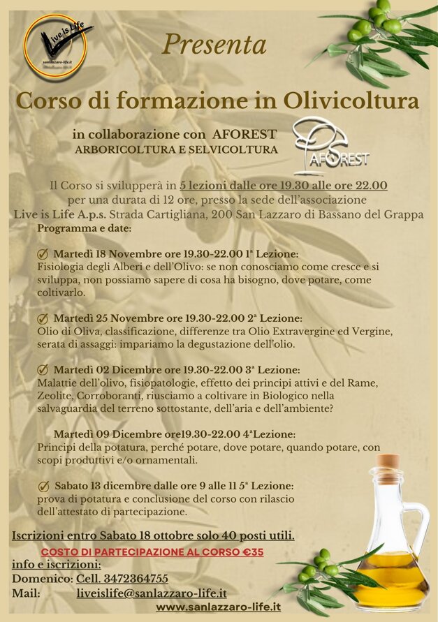 copia 2 di corso di olivicoltura (poster (a5 verticale)).jpeg