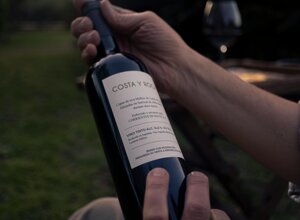 Bottiglia vino, vino, degustazione
