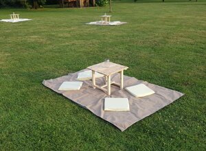 pic-nic di sera sul prato,