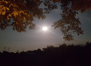 Brenta di notte con luna piena