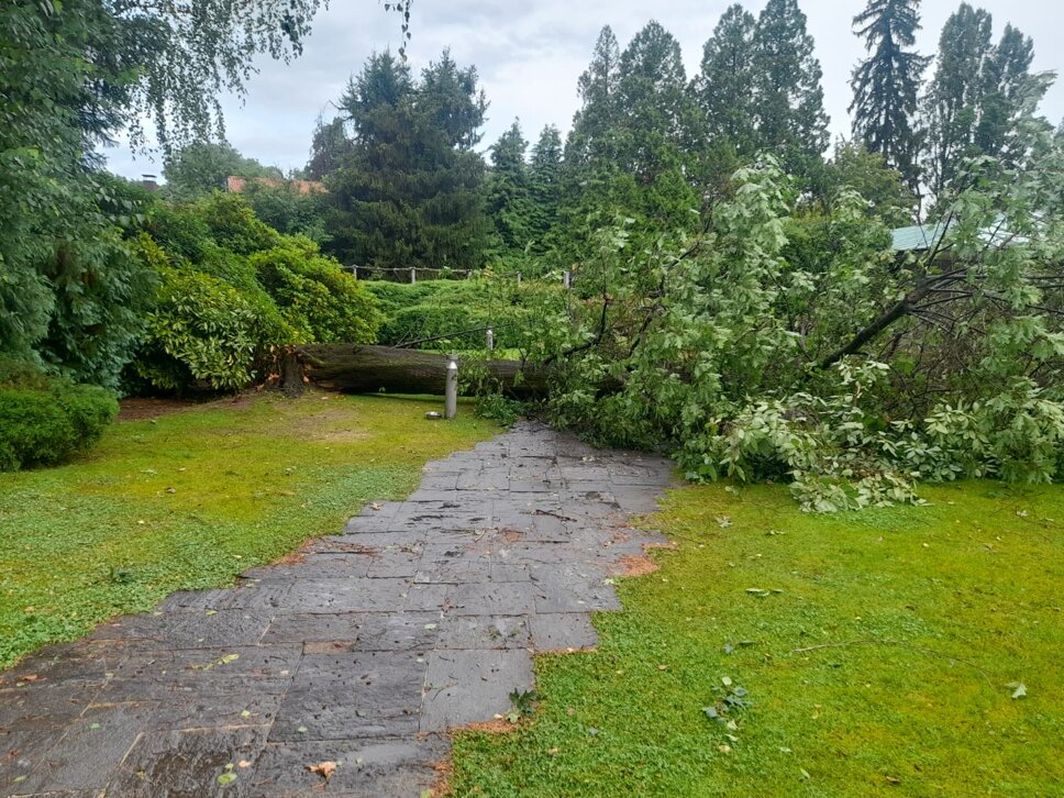 44103662f6ace4152cc0aa941432fc95e45d7a16 44103662f6ace4152cc0aa941432fc95e45d7a16