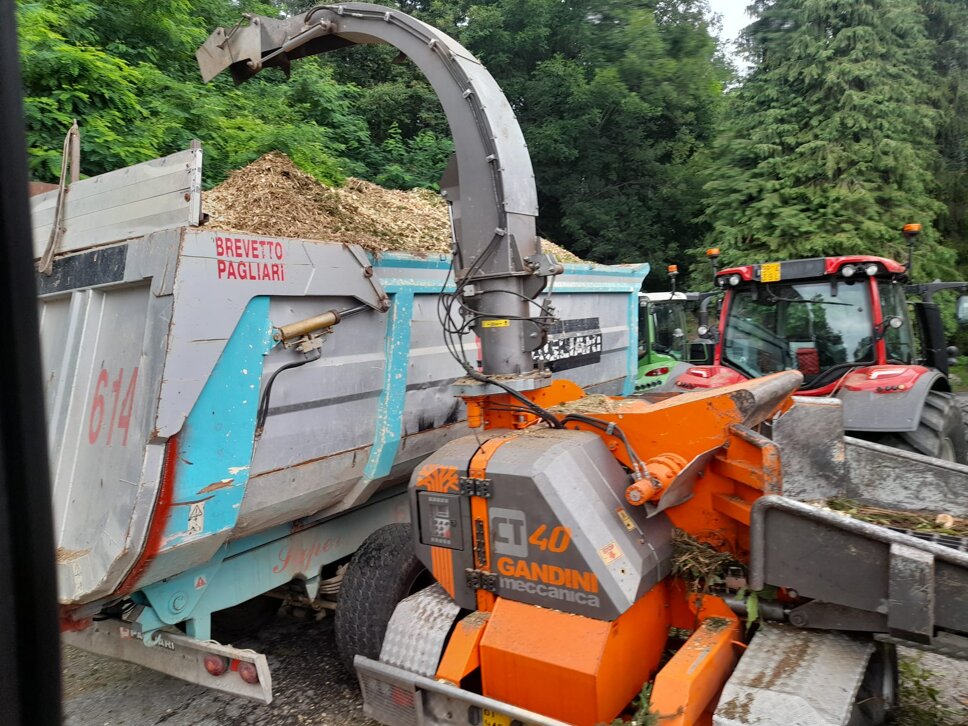 1689410241371.jpeg 1689410241371.jpeg