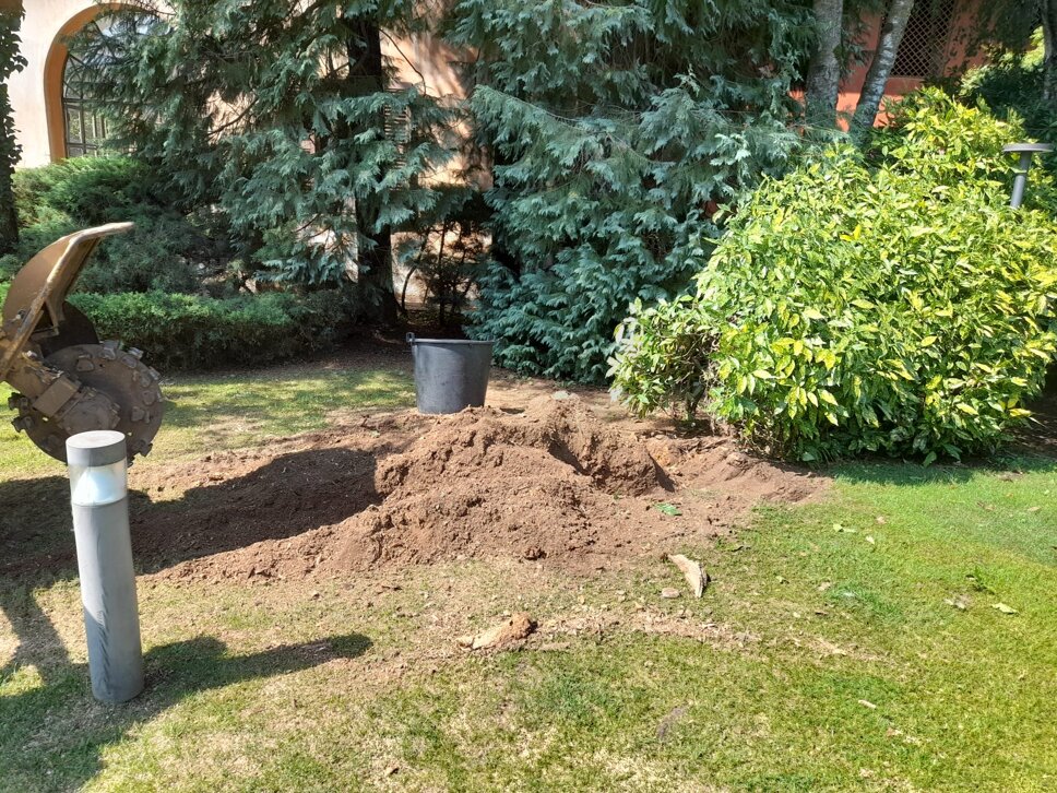 1689410240926.jpeg 1689410240926.jpeg