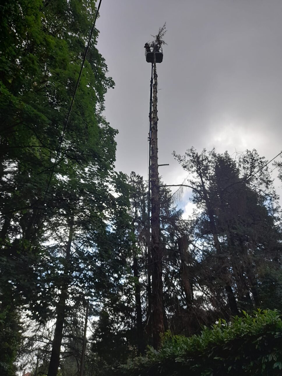 1689410241684.jpeg 1689410241684.jpeg