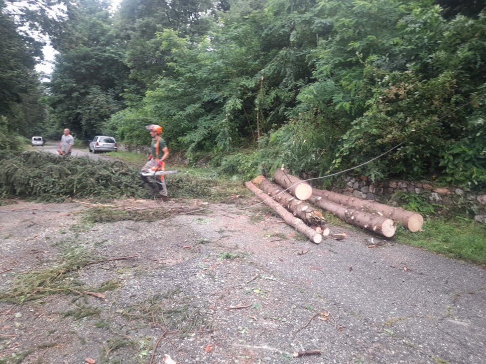 1689410319089.jpeg 1689410319089.jpeg