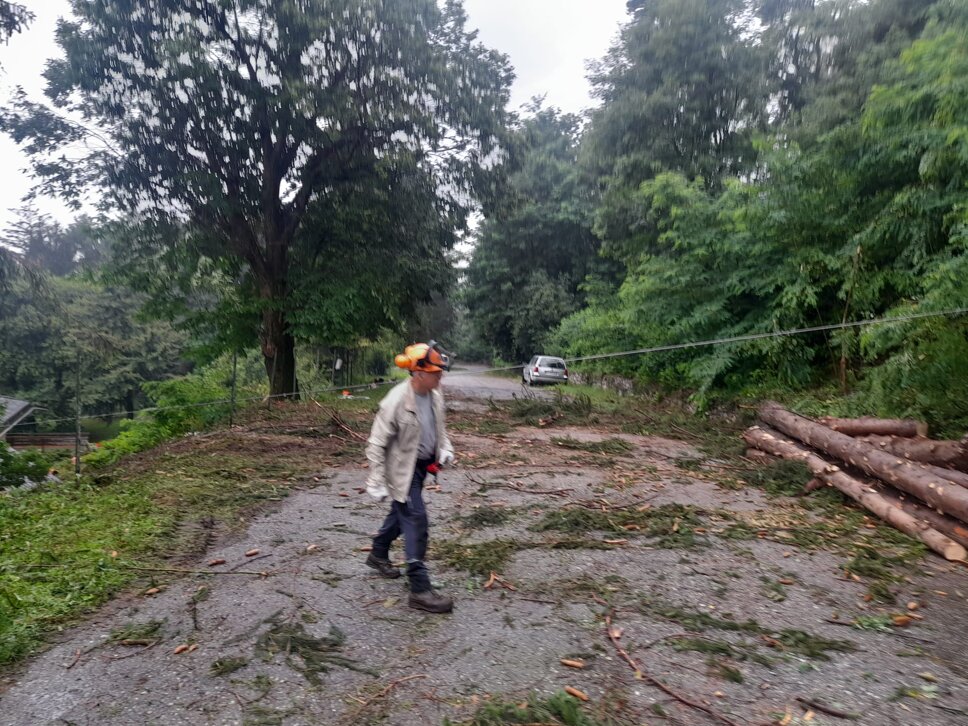 1689410319099.jpeg 1689410319099.jpeg