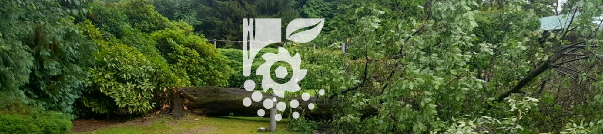 untitled-1-banner home daniele (1)