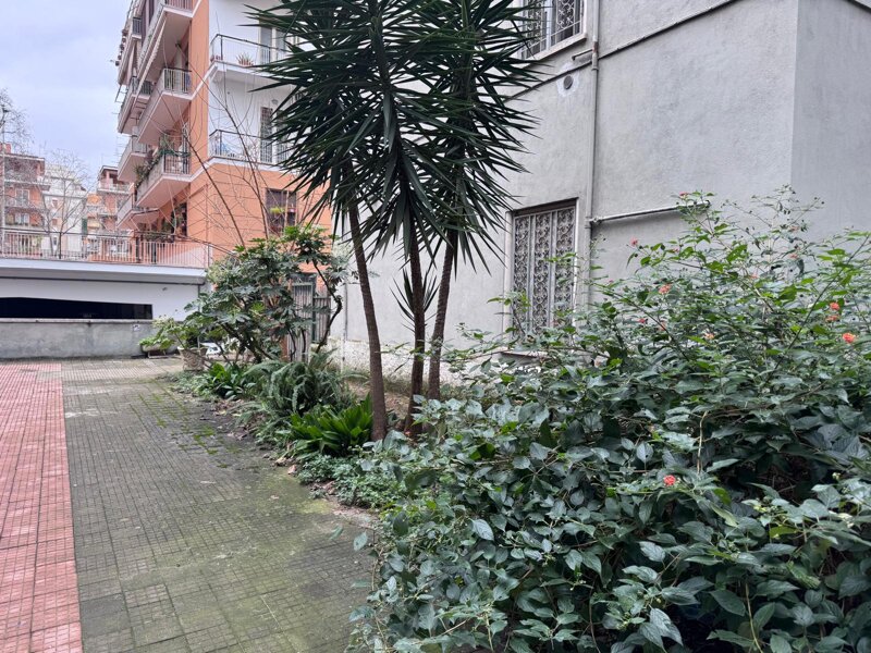 whatsapp image 2026-01-12 at 10.49.24 (4).jpeg