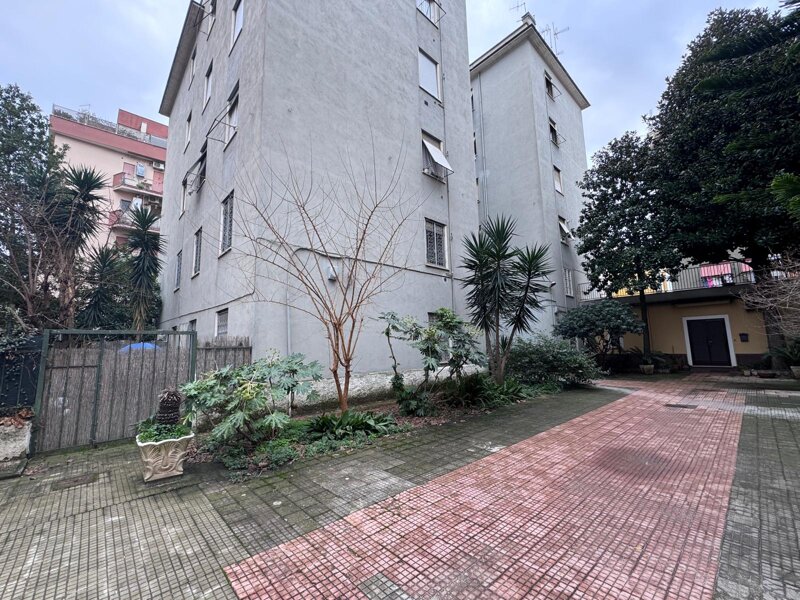 whatsapp image 2026-01-12 at 10.49.24 (5).jpeg