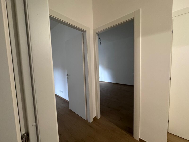 whatsapp image 2026-01-12 at 10.49.19 (3).jpeg