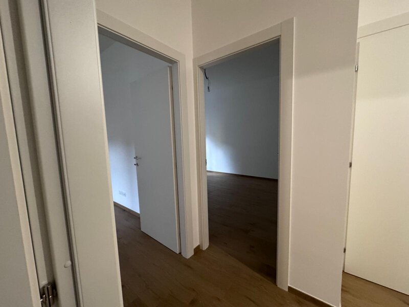 whatsapp image 2026-01-12 at 10.49.19 (2).jpeg