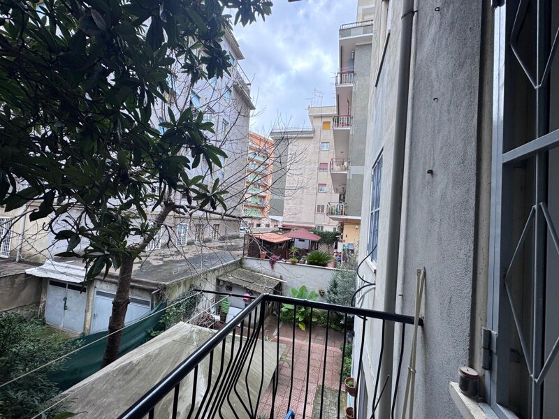 whatsapp image 2026-01-12 at 10.49.23 (6).jpeg