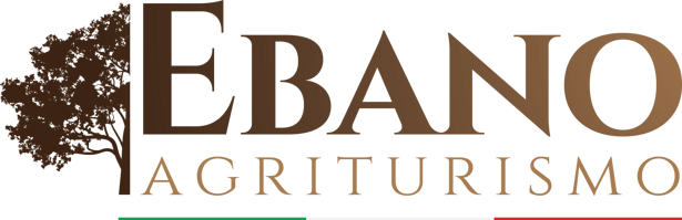 logo ebano