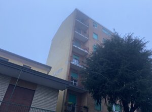 img_9980.jpeg img_9980.jpeg