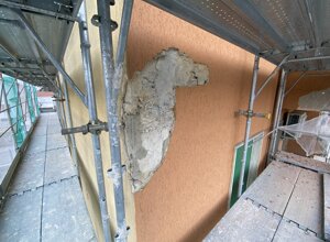 img_2428.jpeg img_2428.jpeg