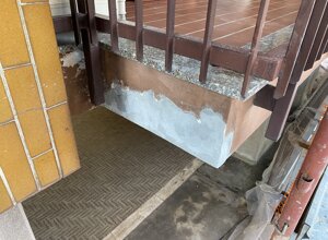 img_1113.jpeg img_1113.jpeg