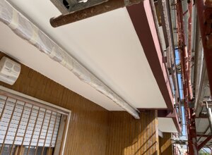 img_1114.jpeg img_1114.jpeg