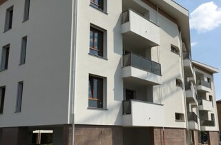 img_6761.jpeg