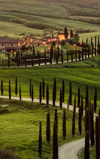 c6e36eb0f47328f51eb08b4d03a07350e5c172c2