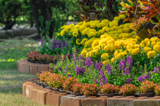 close-up-flowering-plants-garden.jpeg