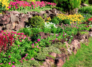 close-up-flowering-plants-garden.jpeg