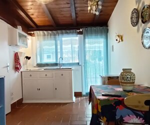 img20250226122640.jpeg img20250226122640.jpeg