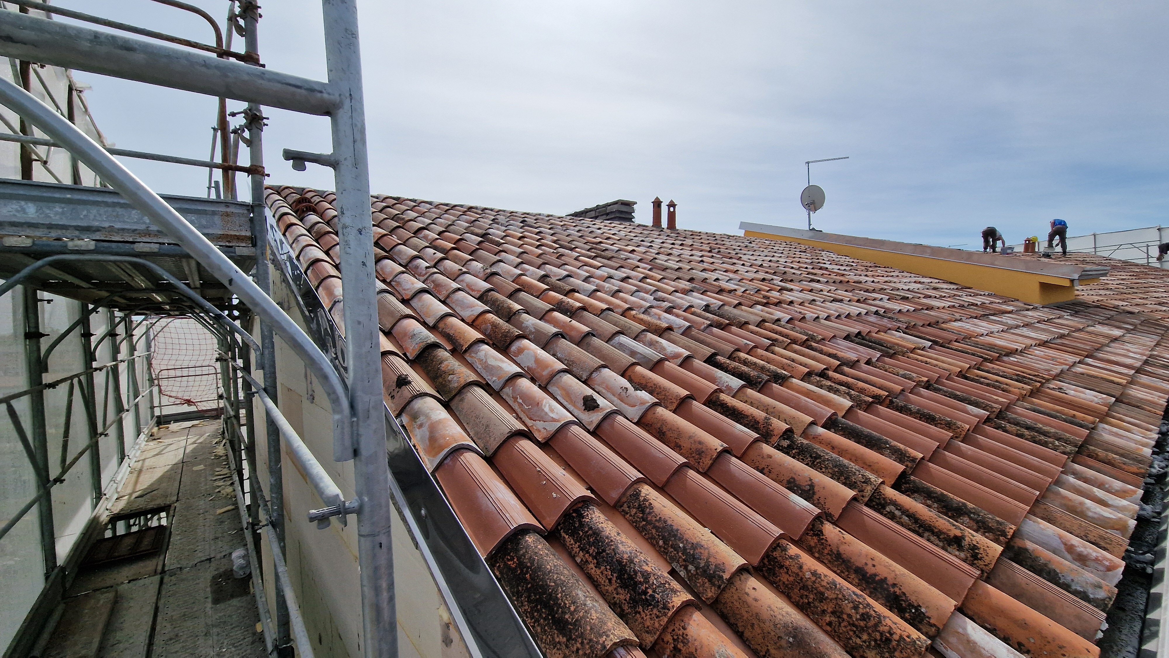 20240419_105123.jpeg 20240419_105123.jpeg