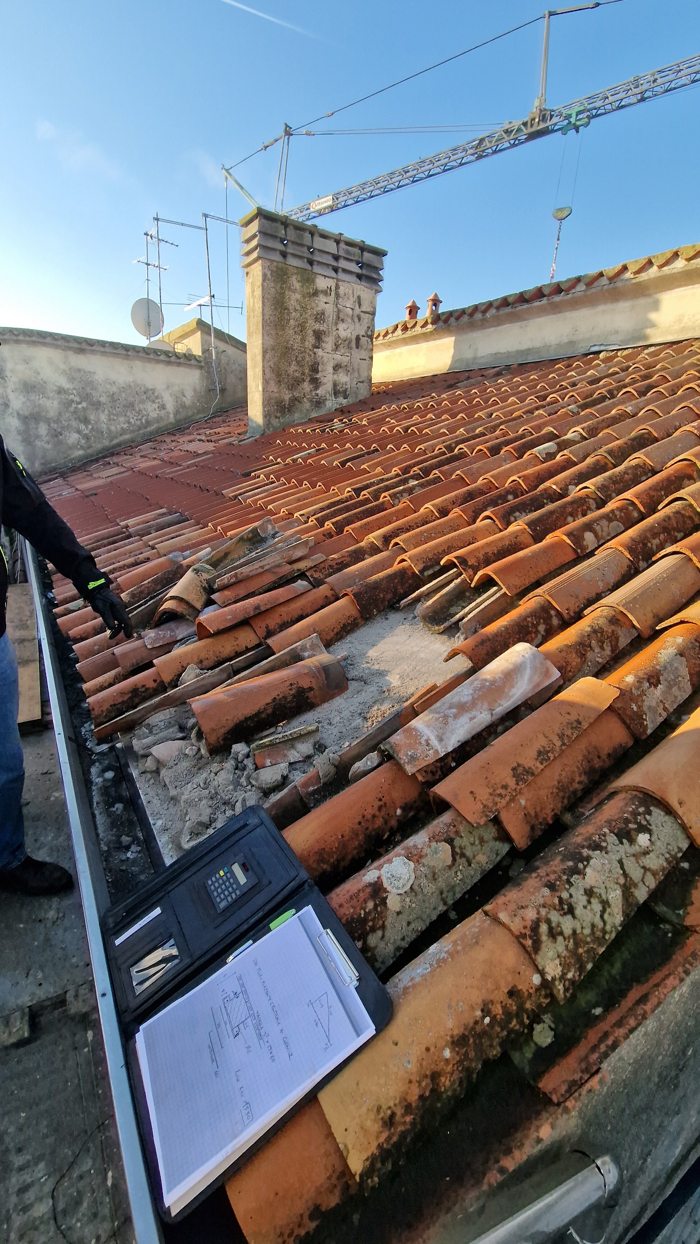 20231219_093116.jpeg 20231219_093116.jpeg