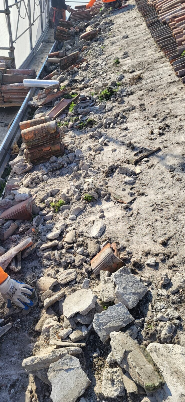 7593aba9-ba29-4978-b95d-db229d5985aa.jpeg 7593aba9-ba29-4978-b95d-db229d5985aa.jpeg