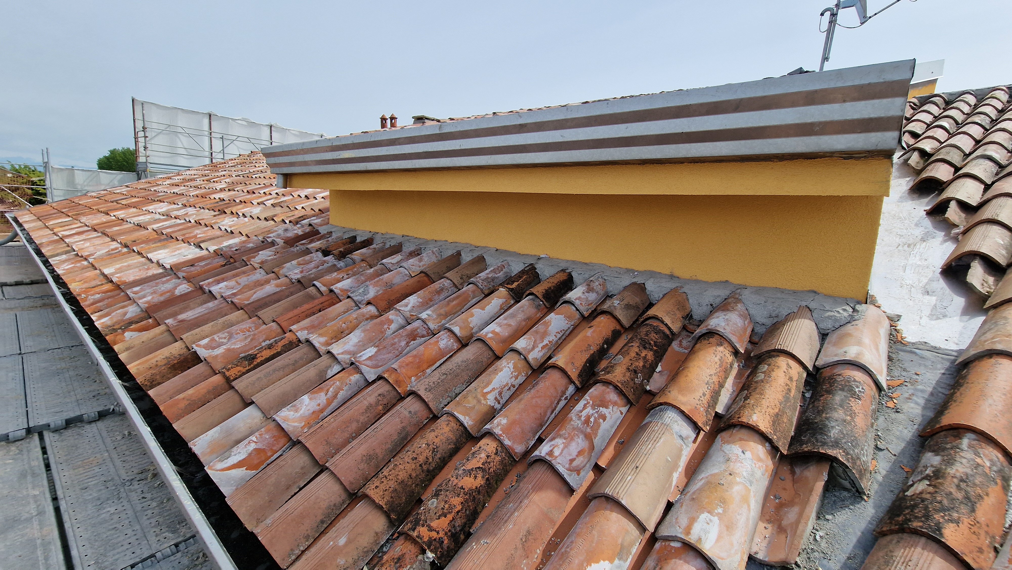 20240419_105204.jpeg 20240419_105204.jpeg