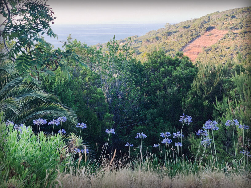 mio scatto terra mare.jpeg