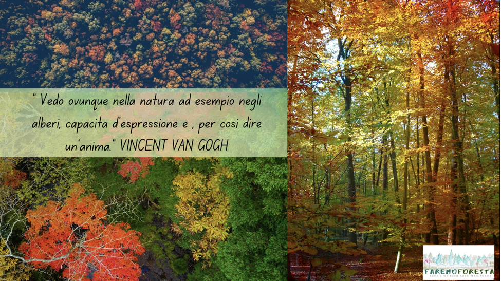 screenshot 2025-11-24 alle 17.54.01