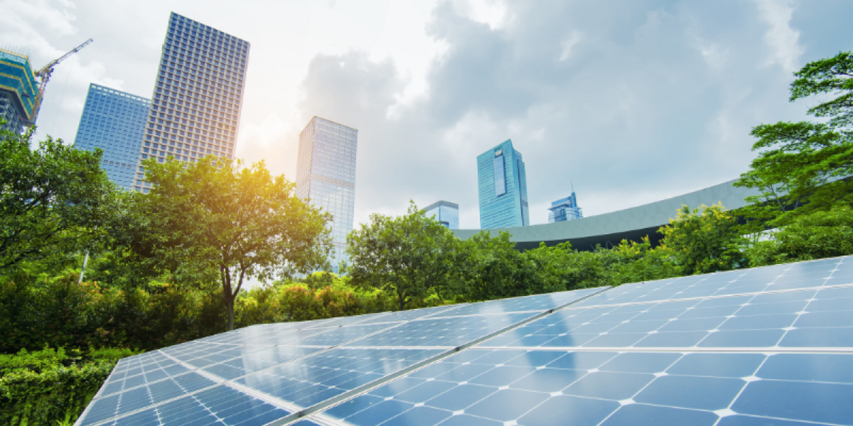 progetto-senza-titolo---2023-05-12t100300.537