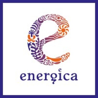 energica_s_r_l_logo.jpeg