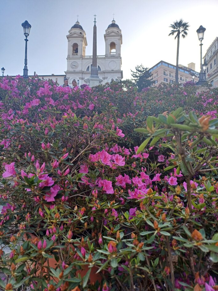 20240417_080729.jpeg 20240417_080729.jpeg