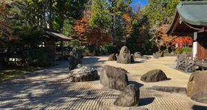 immagine-shikoku-10 immagine-shikoku-10