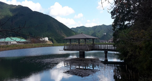 immagine-shikoku-11 immagine-shikoku-11