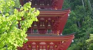 immagine-shikoku-5 immagine-shikoku-5