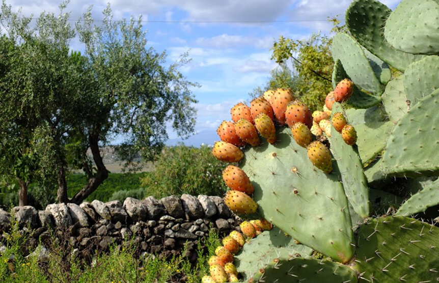 c7e6bd423ef37315155466fc5154c03b640f2529 c7e6bd423ef37315155466fc5154c03b640f2529