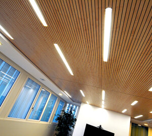 esempio di contract con soffitto, illuminazione speciale, rivestimenti