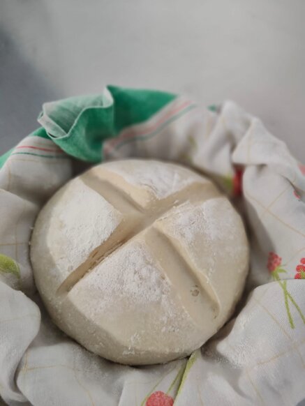 lievito madre.jpeg lievito madre.jpeg