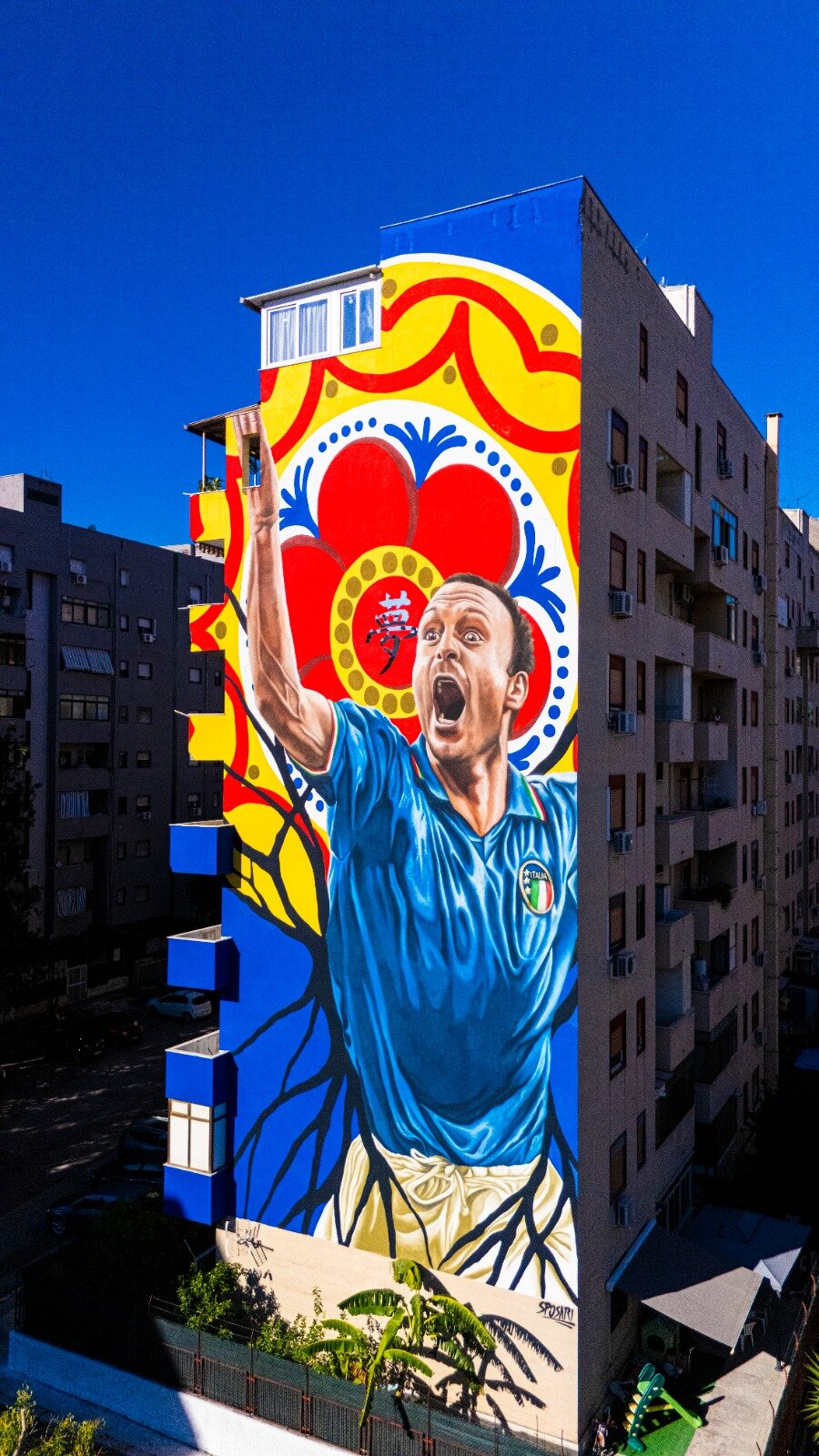 schillaci-3.jpeg schillaci-3.jpeg