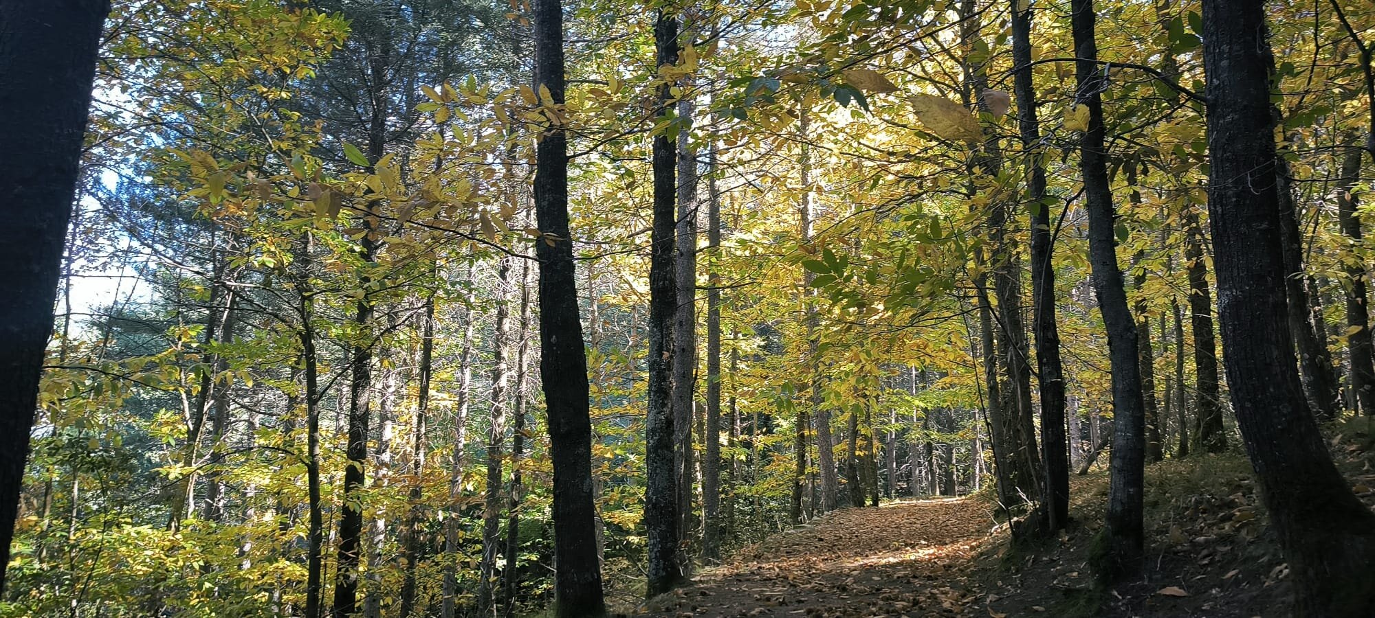 madonie-2.jpeg madonie-2.jpeg