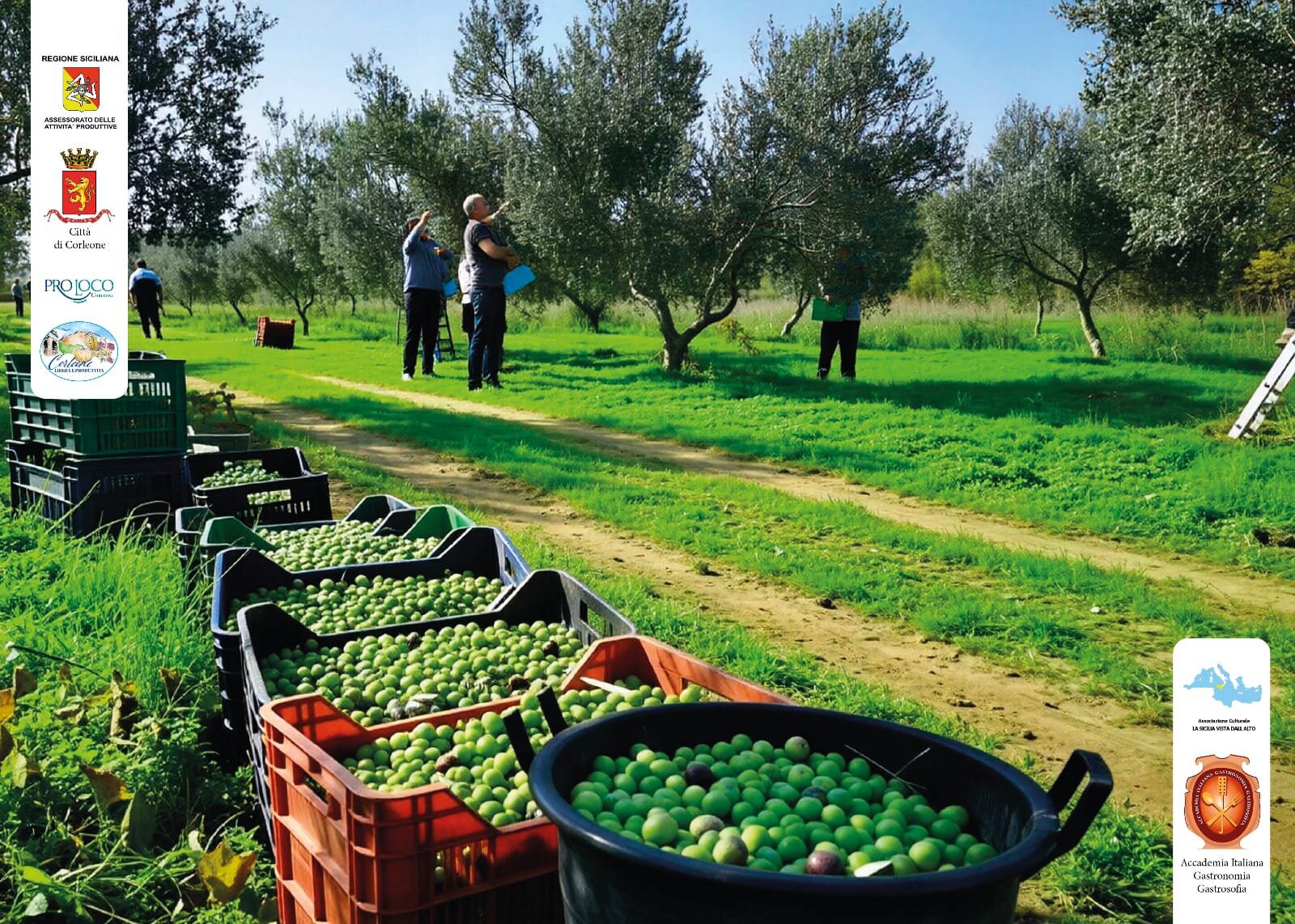 “Corleone libera e produttiva”, conclusa la seconda edizione