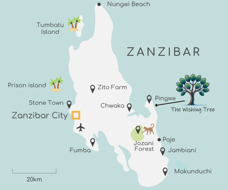 immagine 2026-02-18 170445.jpeg