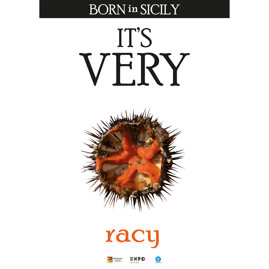 its very riccio.jpeg its very riccio.jpeg