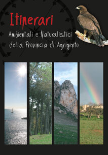 edi ambiente e territorio.jpeg