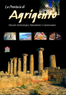 edi aapit depliant.jpeg